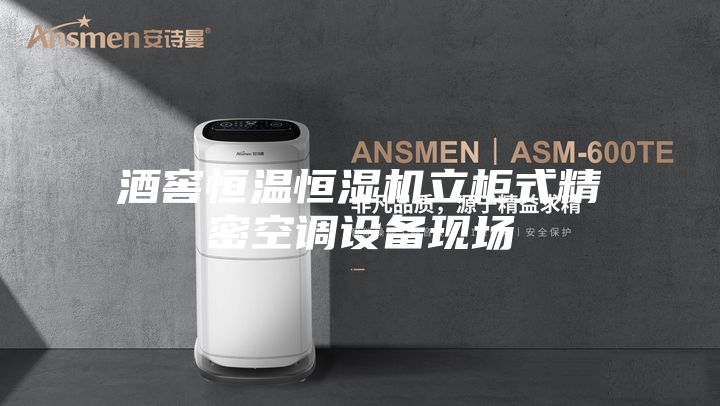 酒窖恒温恒湿机立柜式精密空调设备现场