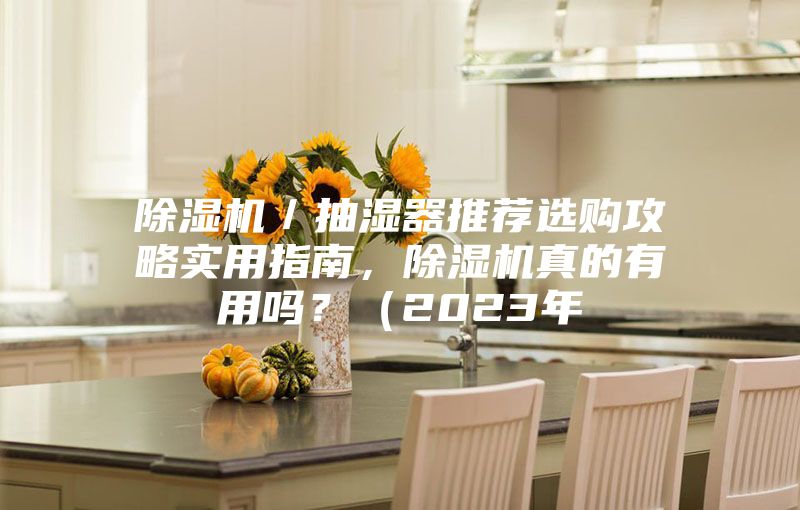 除湿机／抽湿器推荐选购攻略实用指南，除湿机真的有用吗？（2023年