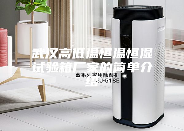武汉高低温恒温恒湿试验箱厂家的简单介绍