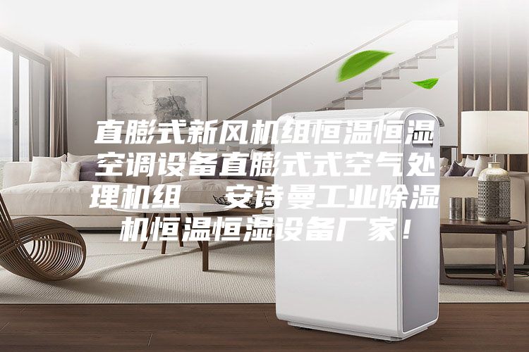 直膨式新风机组恒温恒湿空调设备直膨式式空气处理机组  安诗曼工业除湿机恒温恒湿设备厂家！