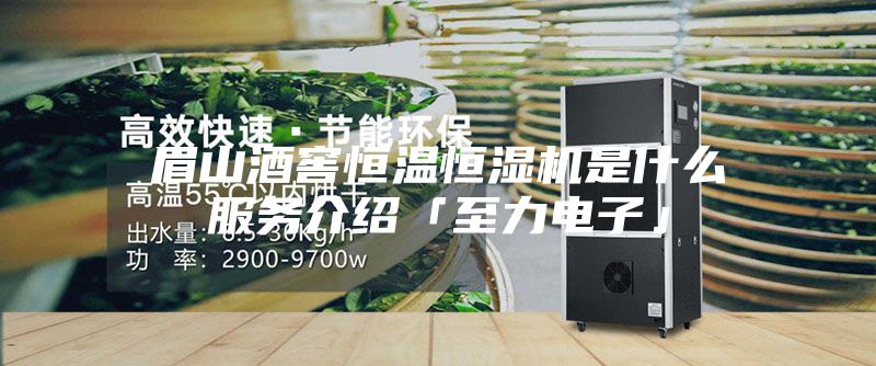 眉山酒窖恒温恒湿机是什么服务介绍「至力电子」