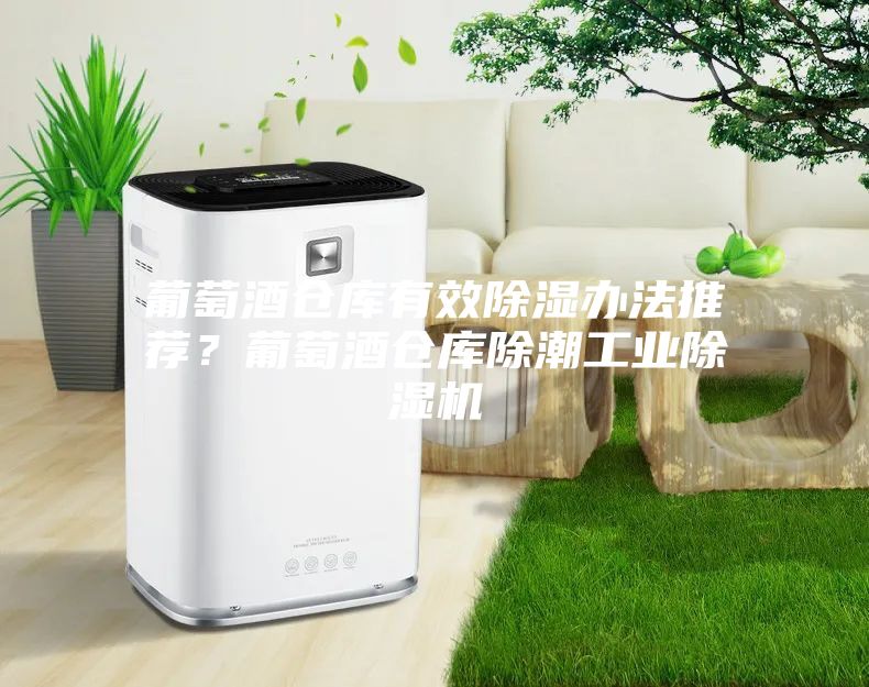 葡萄酒仓库有效除湿办法推荐？葡萄酒仓库除潮工业除湿机