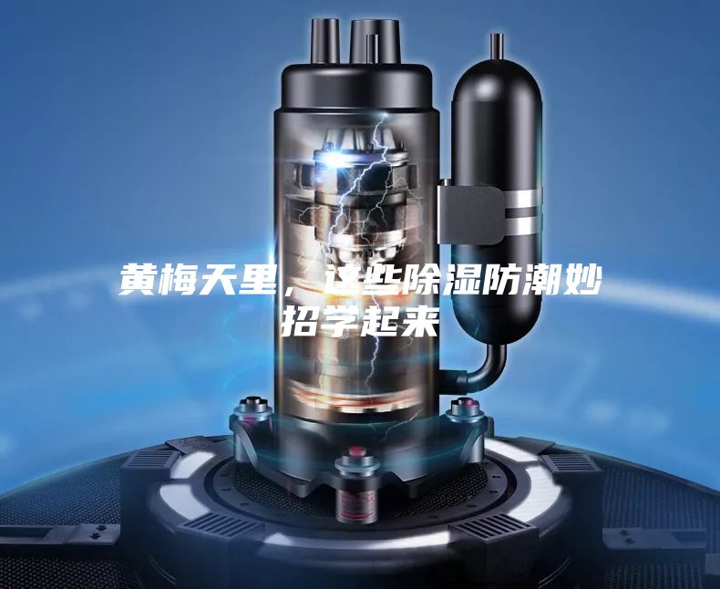 黄梅天里，这些除湿防潮妙招学起来