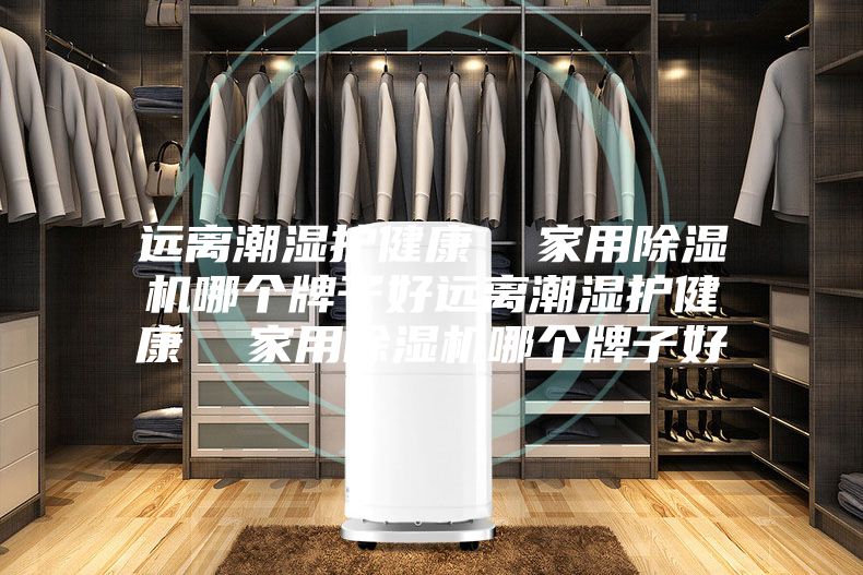 远离潮湿护健康  家用除湿机哪个牌子好远离潮湿护健康  家用除湿机哪个牌子好