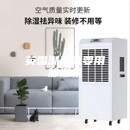 英国潮湿需要用除湿机