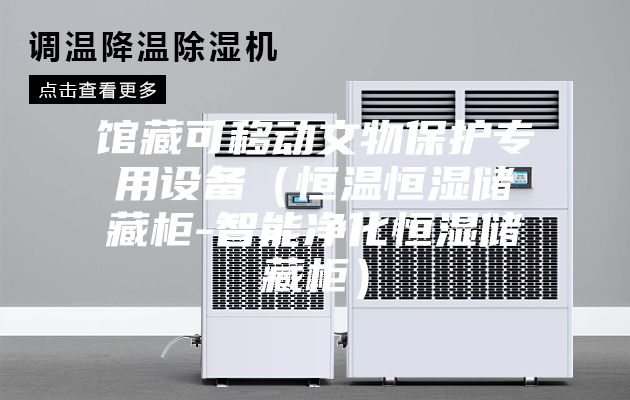 馆藏可移动文物保护专用设备（恒温恒湿储藏柜-智能净化恒湿储藏柜）