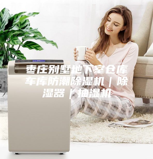 枣庄别墅地下室仓库车库防潮除湿机｜除湿器｜抽湿机