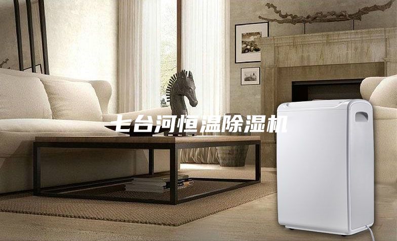 七台河恒温除湿机