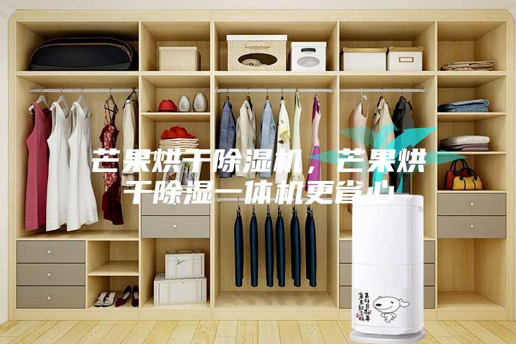 芒果烘干除湿机，芒果烘干除湿一体机更省心