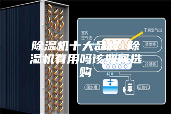 除湿机十大品牌 除湿机有用吗该如何选购