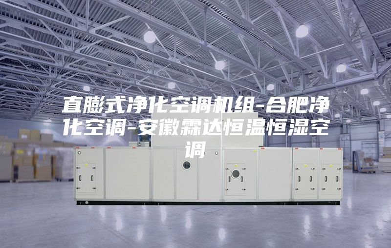 直膨式净化空调机组-合肥净化空调-安徽霖达恒温恒湿空调