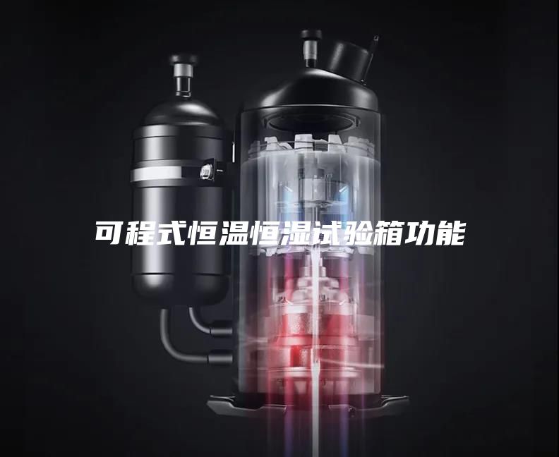 可程式恒温恒湿试验箱功能
