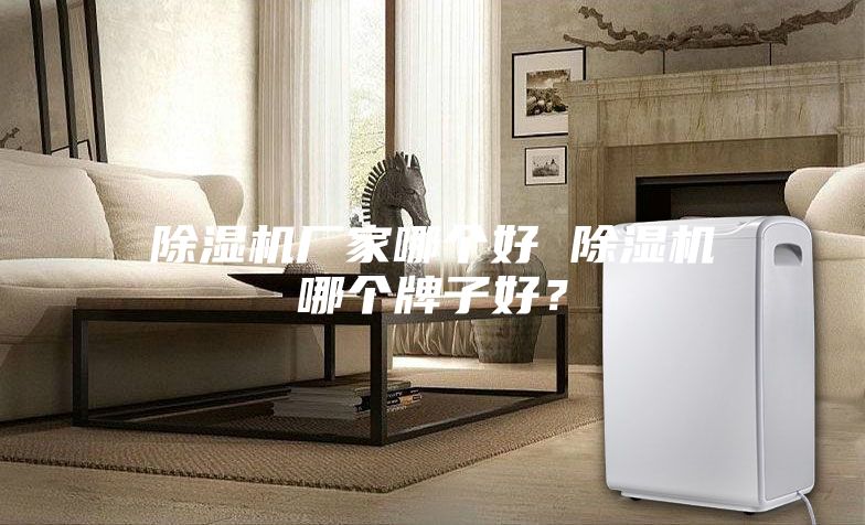 除湿机厂家哪个好 除湿机哪个牌子好?