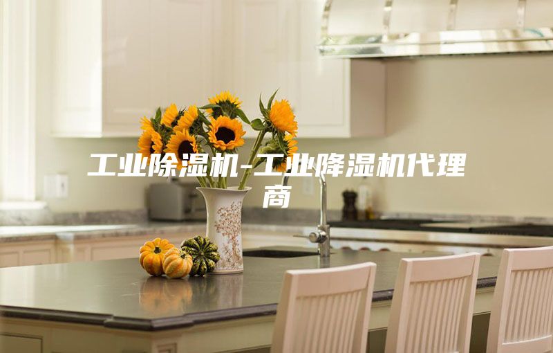 工业除湿机-工业降湿机代理商