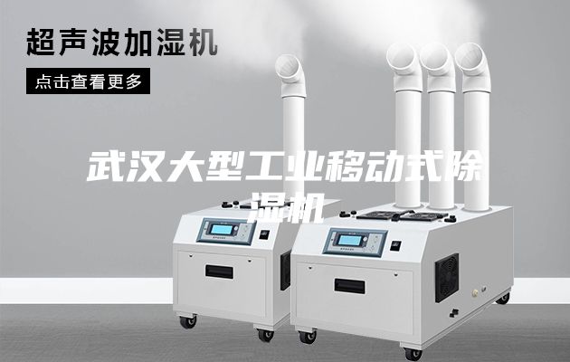武汉大型工业移动式除湿机