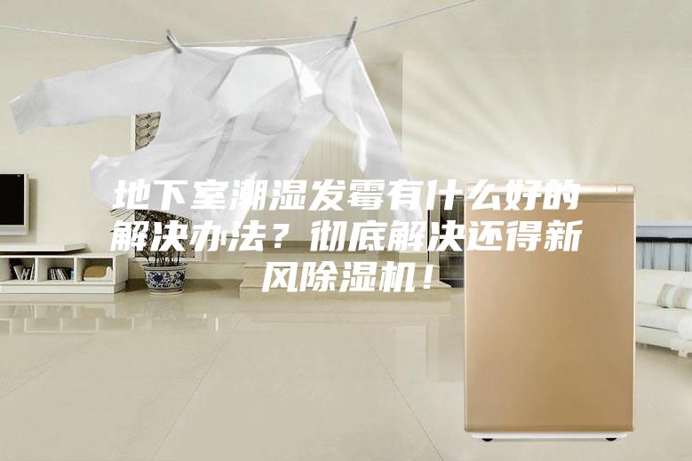 地下室潮湿发霉有什么好的解决办法？彻底解决还得新风除湿机！