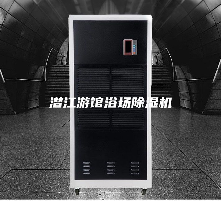 潜江游馆浴场除湿机