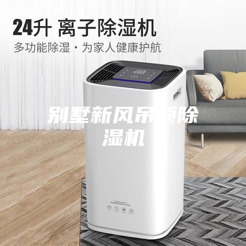 别墅新风吊顶除湿机