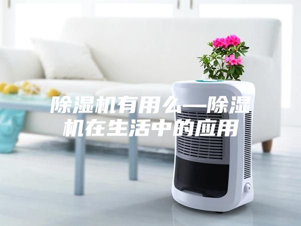 除湿机有用么—除湿机在生活中的应用