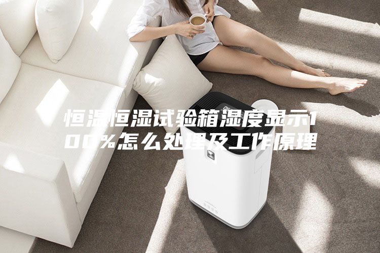 恒温恒湿试验箱湿度显示100%怎么处理及工作原理