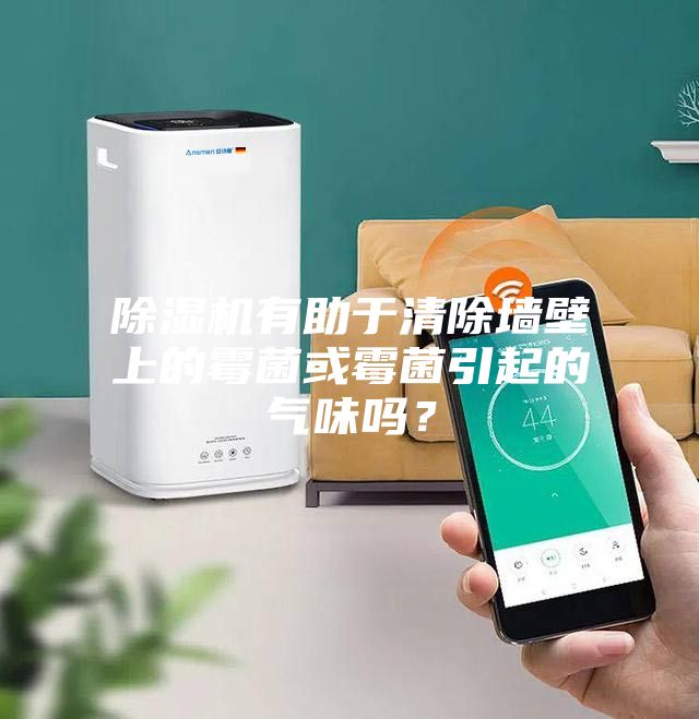 除湿机有助于清除墙壁上的霉菌或霉菌引起的气味吗？