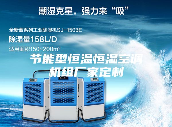 节能型恒温恒湿空调机组厂家定制