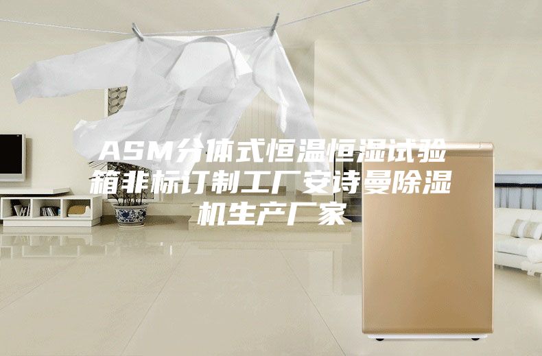 ASM分体式恒温恒湿试验箱非标订制工厂安诗曼除湿机生产厂家