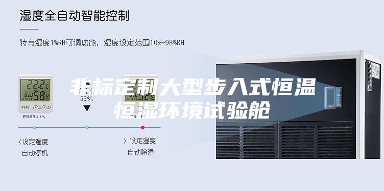 非标定制大型步入式恒温恒湿环境试验舱