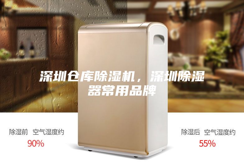 深圳仓库除湿机，深圳除湿器常用品牌