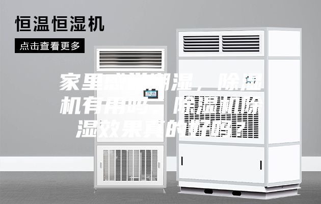 家里感觉潮湿，除湿机有用吗，除湿机除湿效果真的好吗？