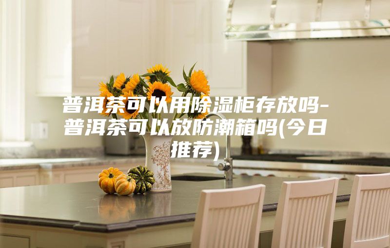 普洱茶可以用除湿柜存放吗-普洱茶可以放防潮箱吗(今日推荐)