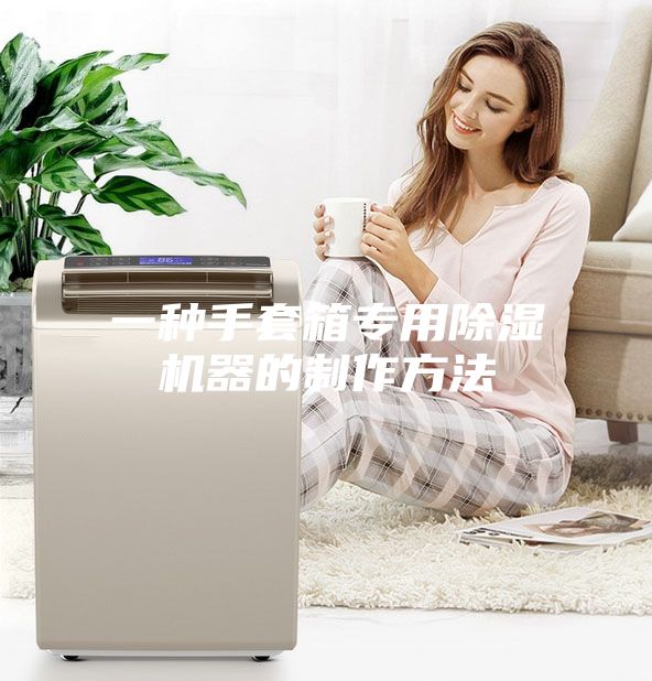 一种手套箱专用除湿机器的制作方法