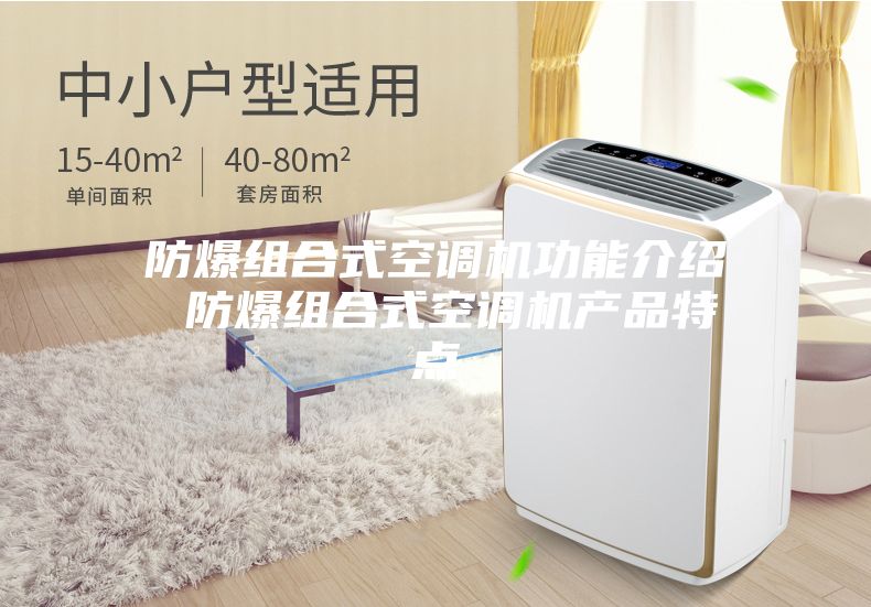 防爆组合式空调机功能介绍 防爆组合式空调机产品特点