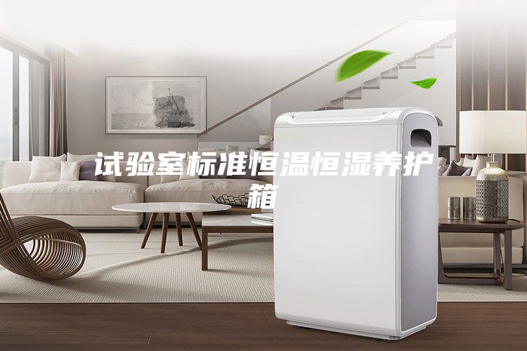 试验室标准恒温恒湿养护箱