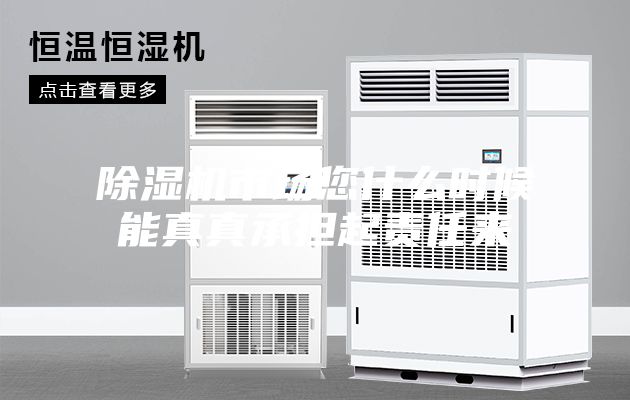 除湿机市场您什么时候能真真承担起责任来