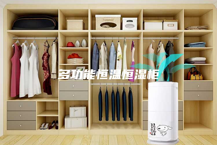 多功能恒温恒湿柜