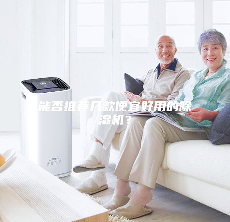 能否推荐几款便宜好用的除湿机？