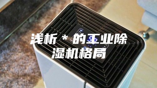 浅析＊的工业除湿机格局