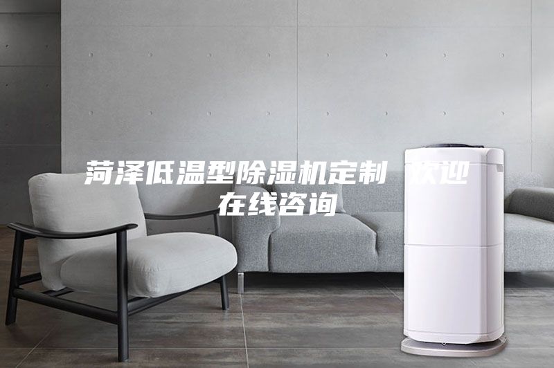 菏泽低温型除湿机定制 欢迎在线咨询