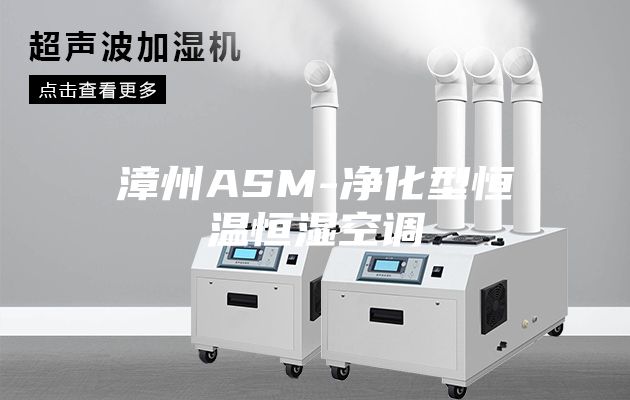 漳州ASM-净化型恒温恒湿空调