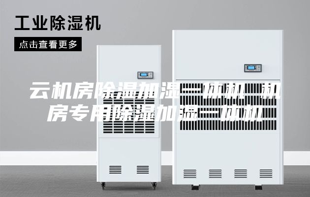 云机房除湿加湿一体机 机房专用除湿加湿一体机