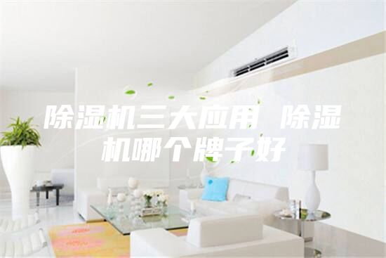 除湿机三大应用 除湿机哪个牌子好