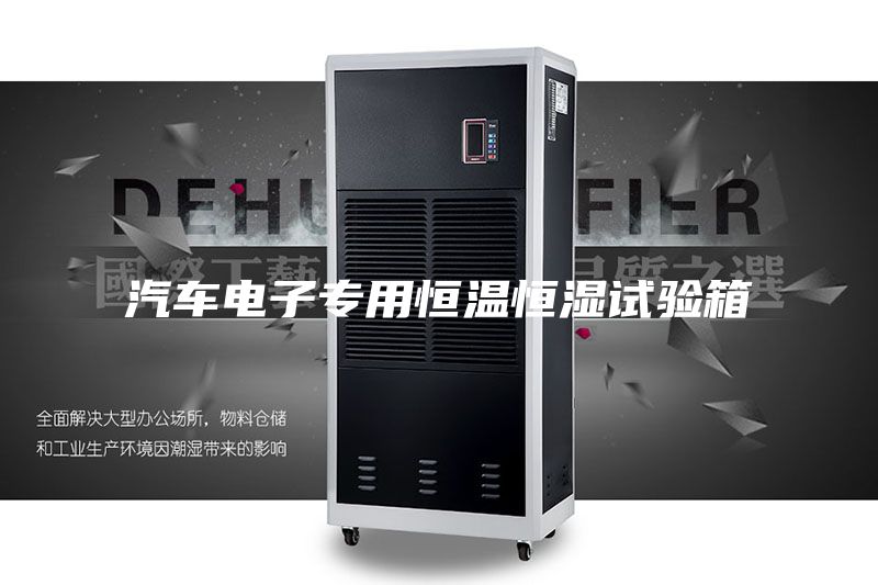 汽车电子专用恒温恒湿试验箱