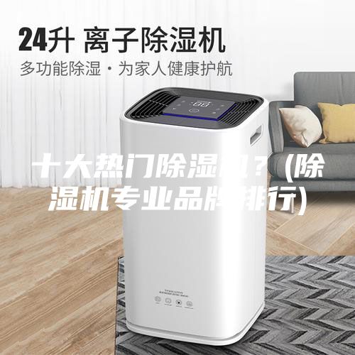 十大热门除湿机？(除湿机专业品牌排行)