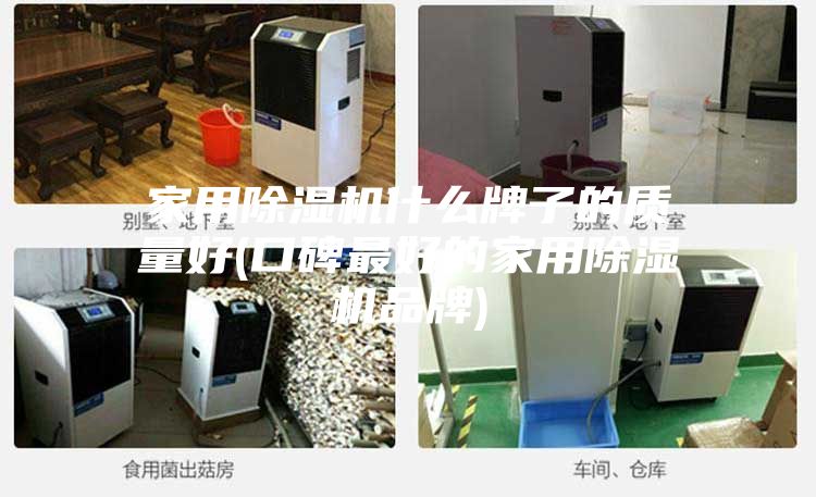 家用除湿机什么牌子的质量好(口碑最好的家用除湿机品牌)