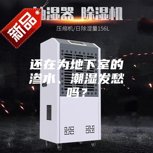 还在为地下室的渗水、潮湿发愁吗？
