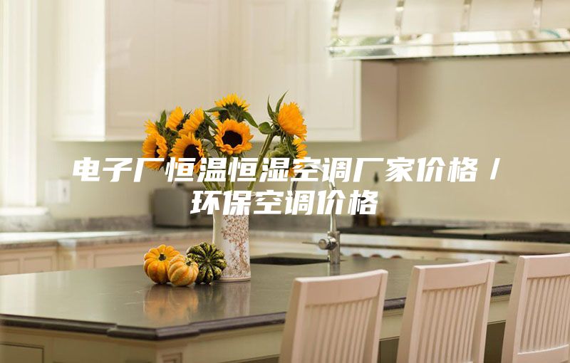 电子厂恒温恒湿空调厂家价格／环保空调价格