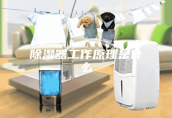 除湿器工作原理是什么