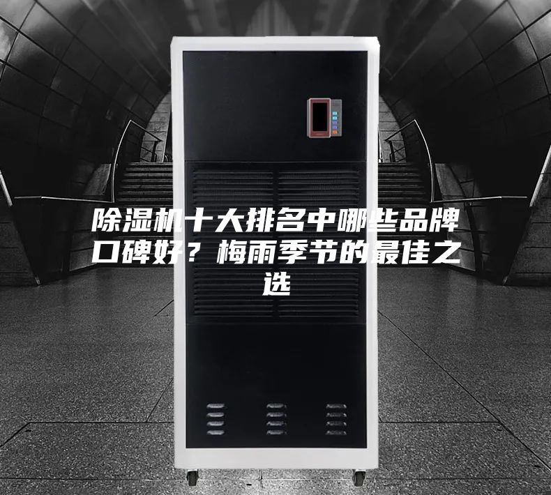 除湿机十大排名中哪些品牌口碑好？梅雨季节的最佳之选