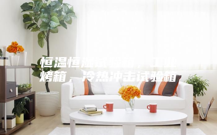 恒温恒湿试验箱，工业烤箱，冷热冲击试验箱